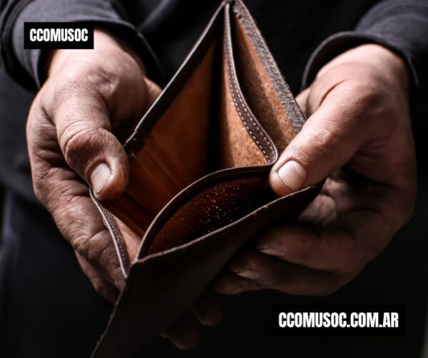 Ingresos insuficientes y economía de hogares argentinos