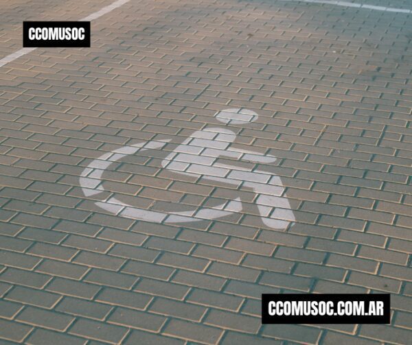 Pasajes gratuitos para personas con discapacidad en micros