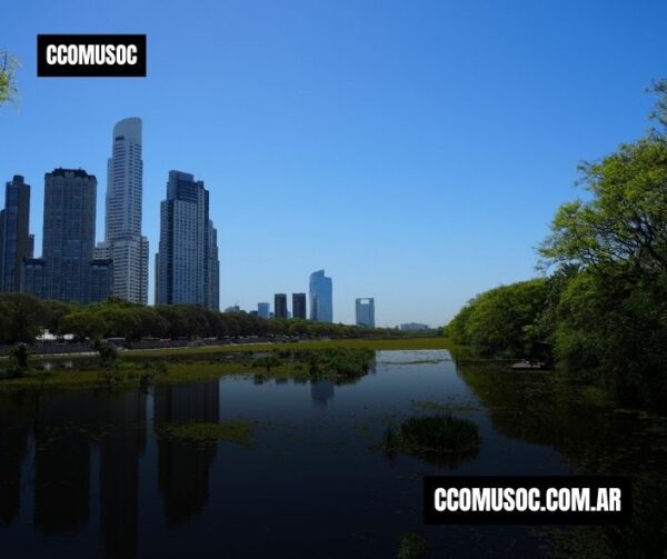 Paisaje urbano con rascacielos junto a un lago y árboles reflejados en el agua