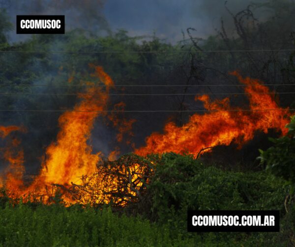ecosistemas en peligro