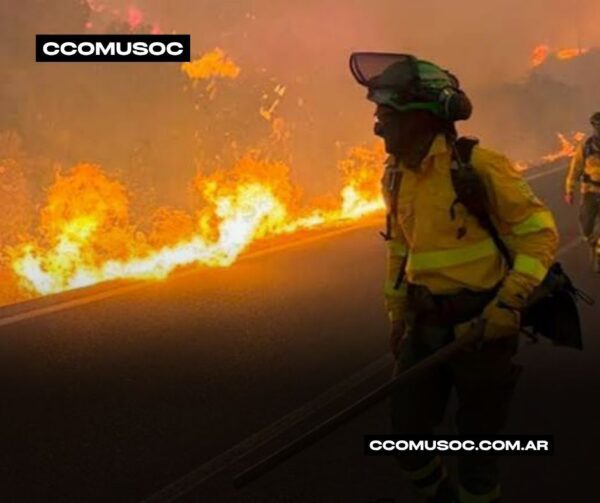 Bombero forestal combatiendo un incendio con llamas intensas al borde de una carretera