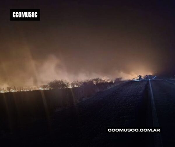 jujuy: arde un campo de 600 hectáreas